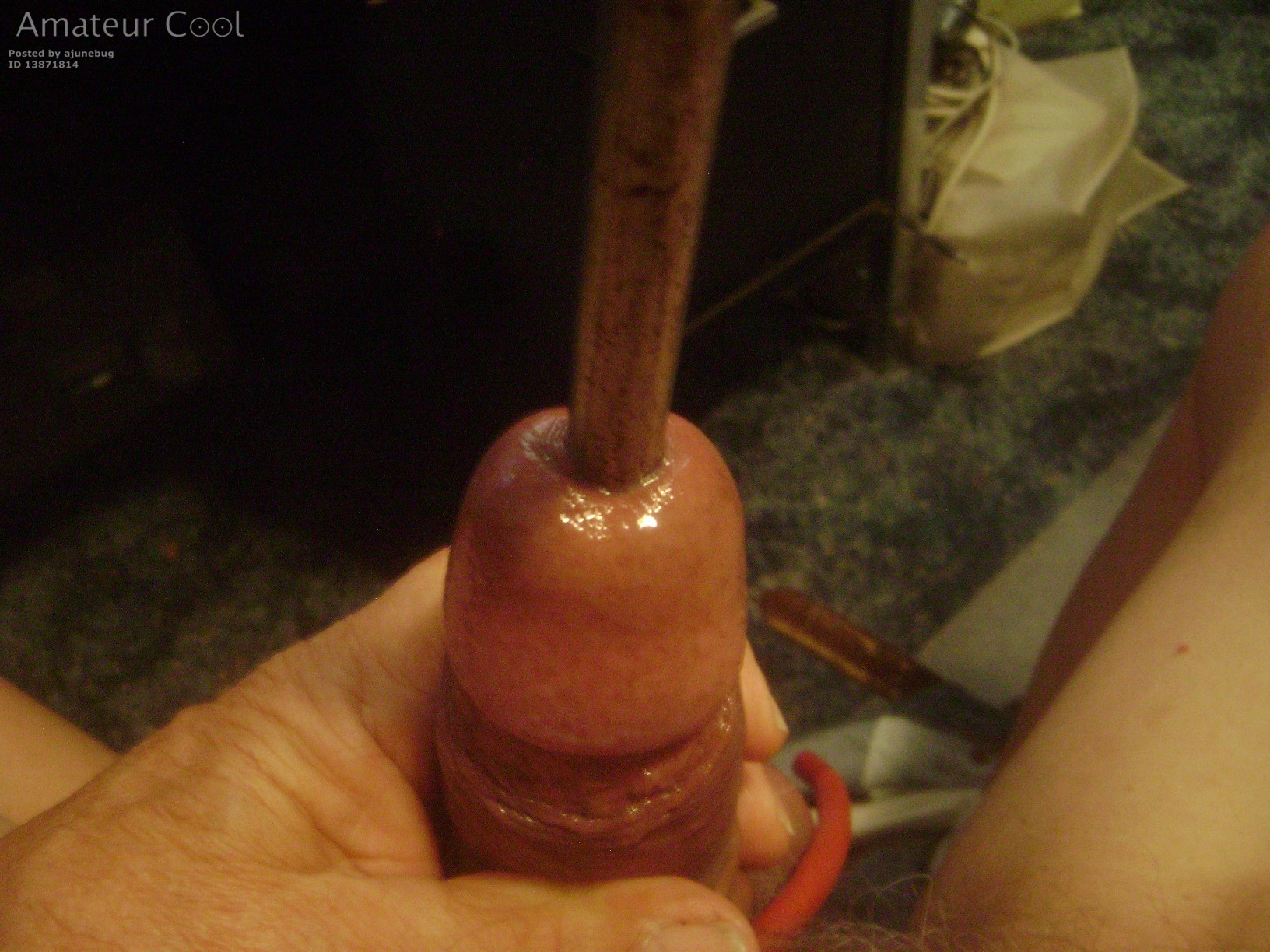 Did a little insertion the other day.  Oh it feels so good.