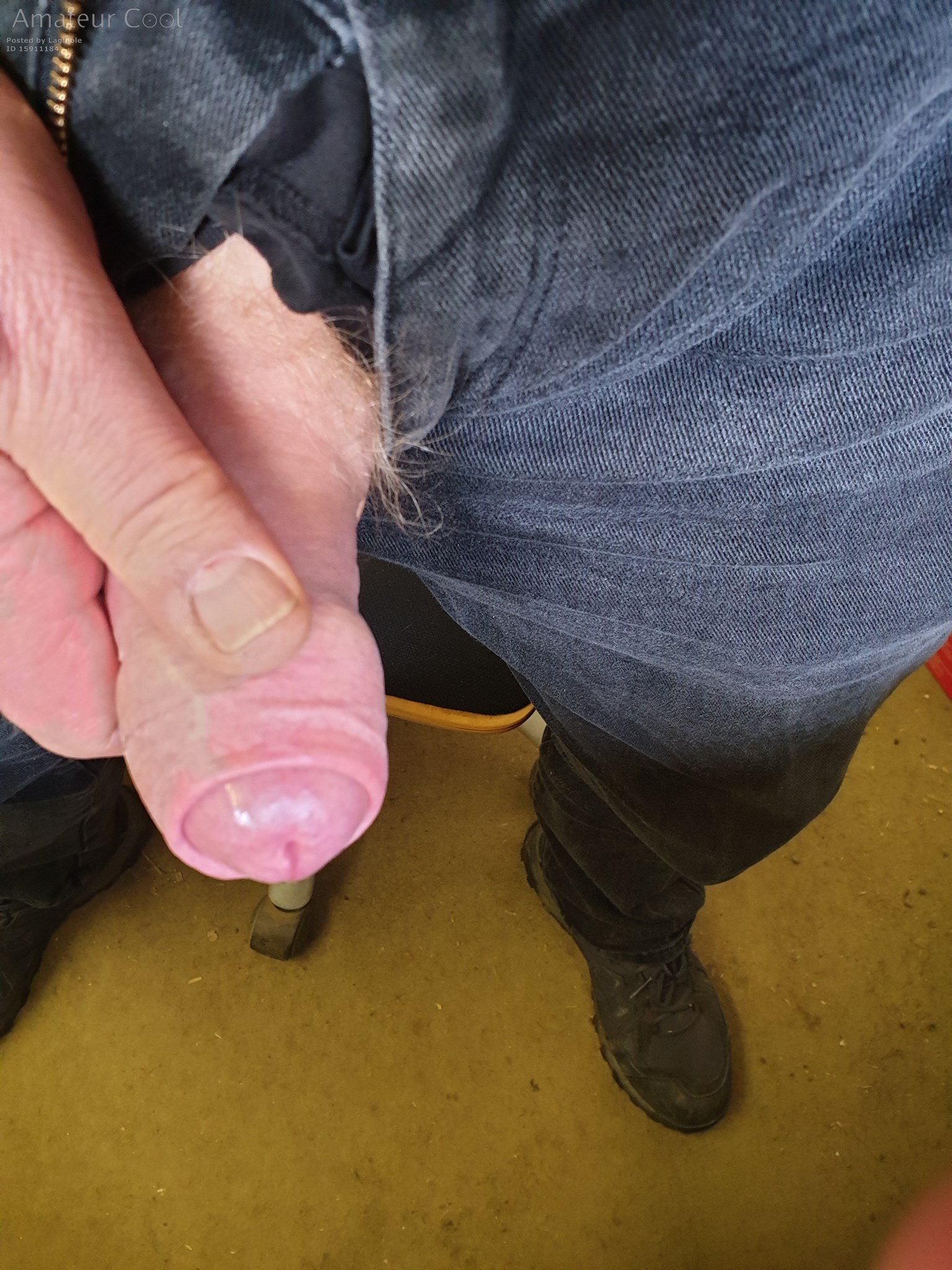 Enjoy NN in the office