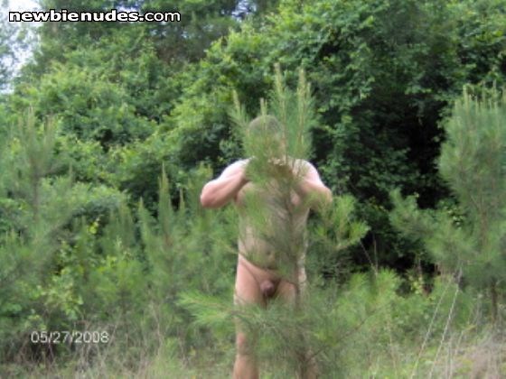 Out in a local forest for a day of sun